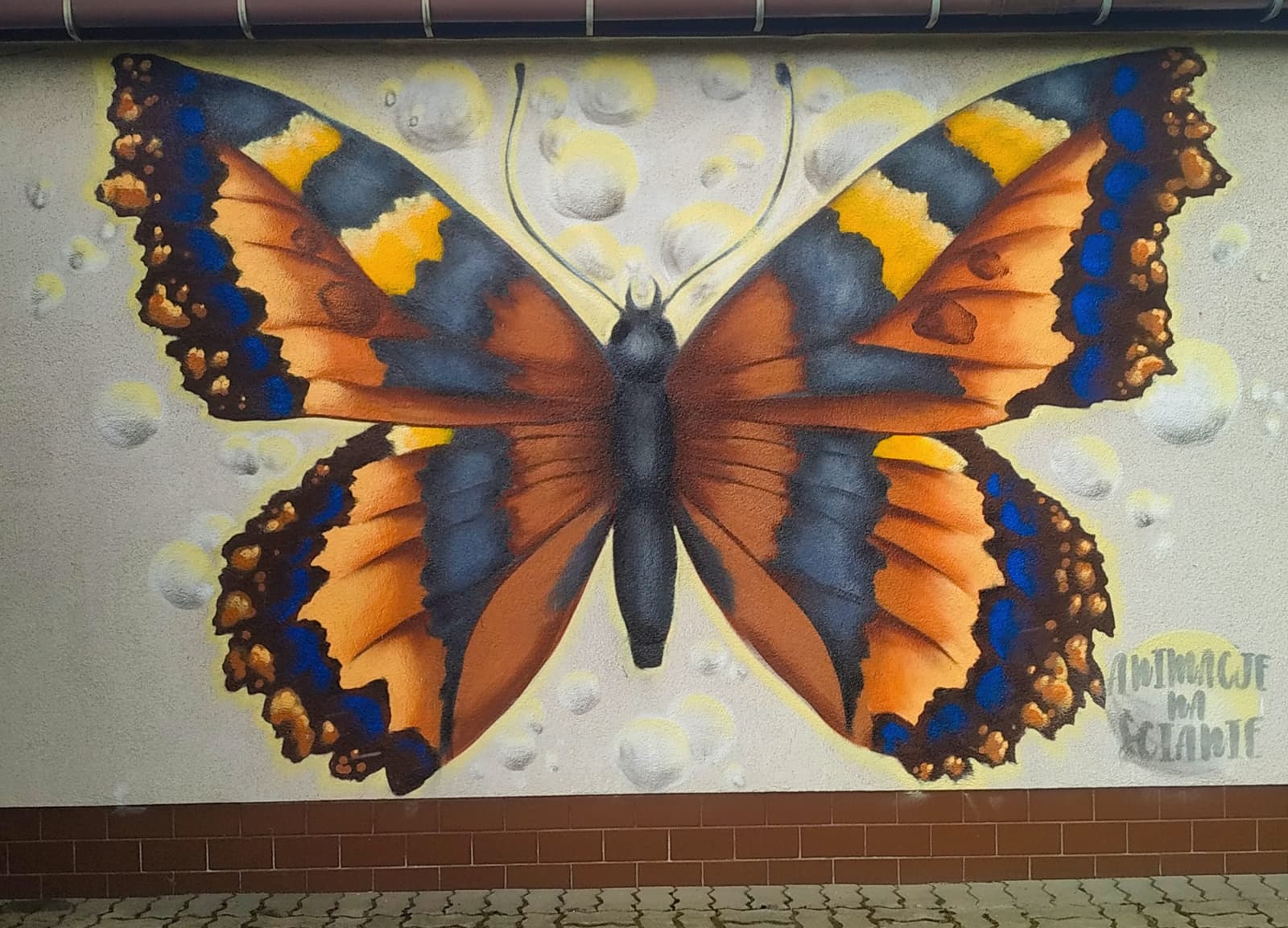 Wielkoformatowy mural motyla na elewacji budynku - realizacja Animacje na Ścianie
